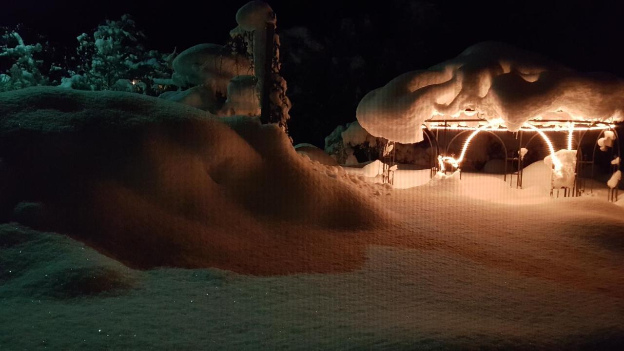 Ferienwohnung Haus Idili Sankt Gallenkirch Exterior foto