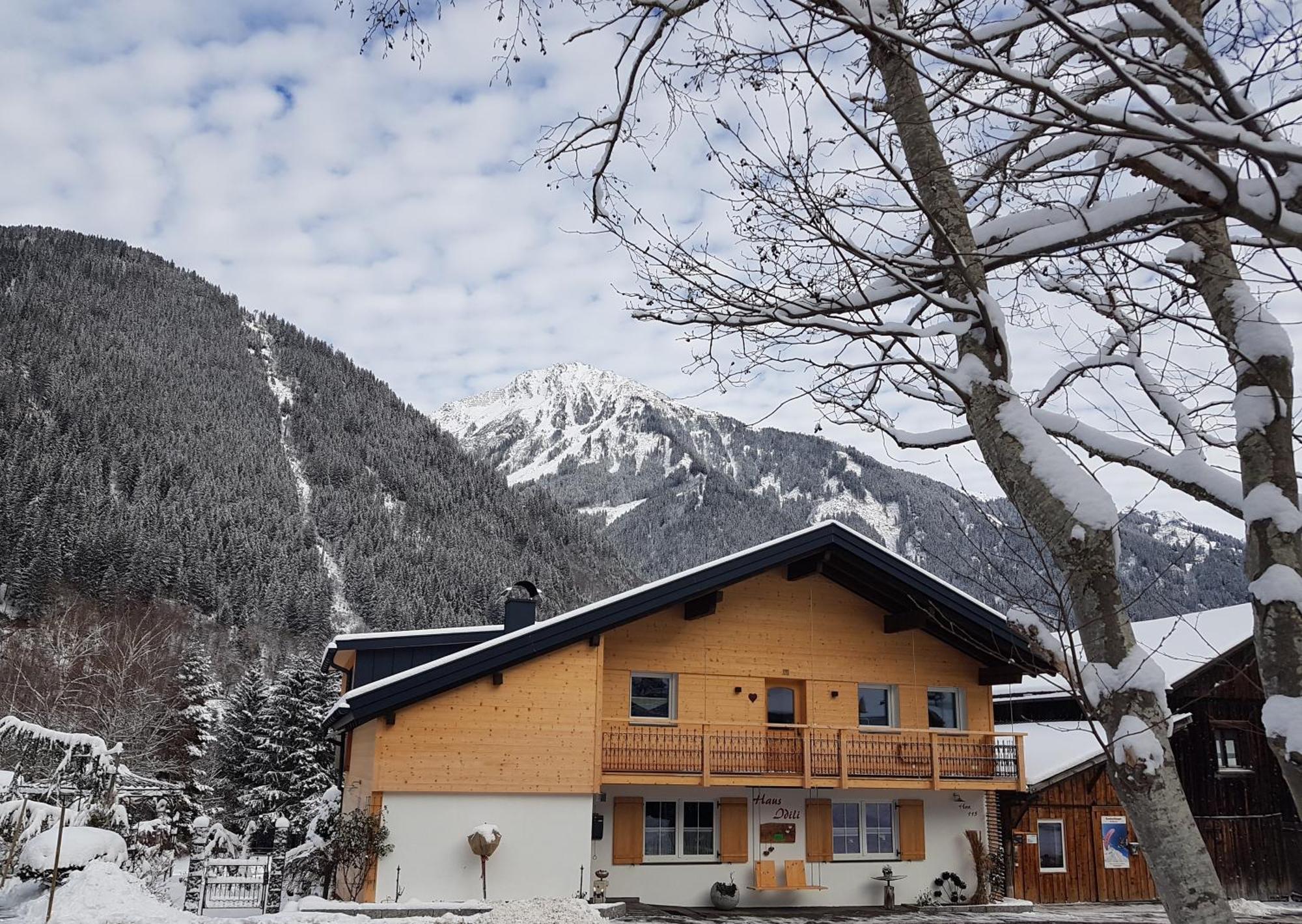 Ferienwohnung Haus Idili Sankt Gallenkirch Exterior foto